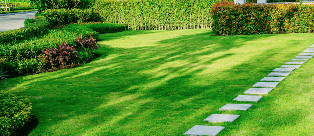 6 SIMPLE TIPS FOR KEEPING YOUR GRASS GREEN DURING THE SUMMER MONTHS