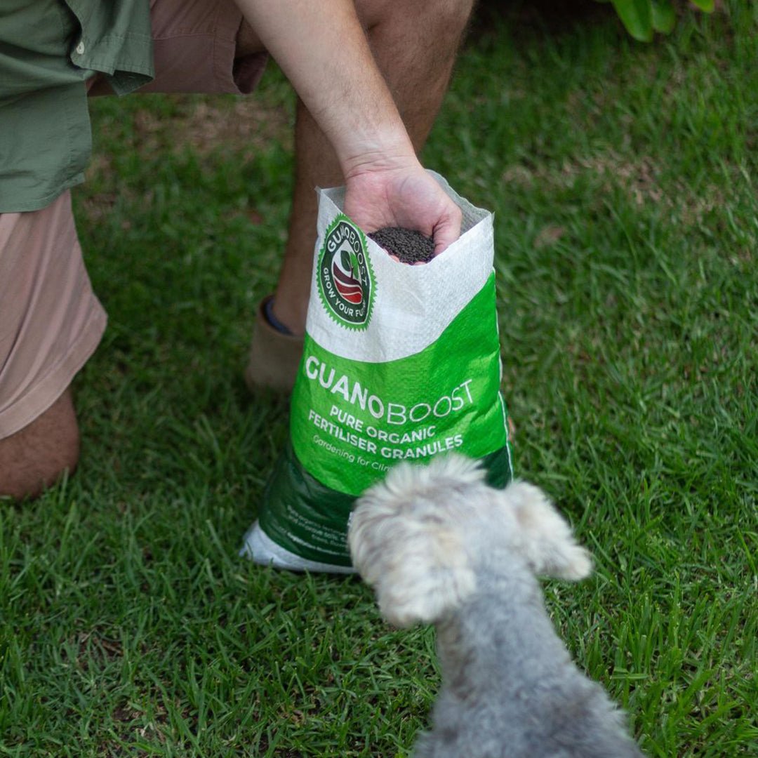 how-to-use-guanoboost-products-on-your-lawn