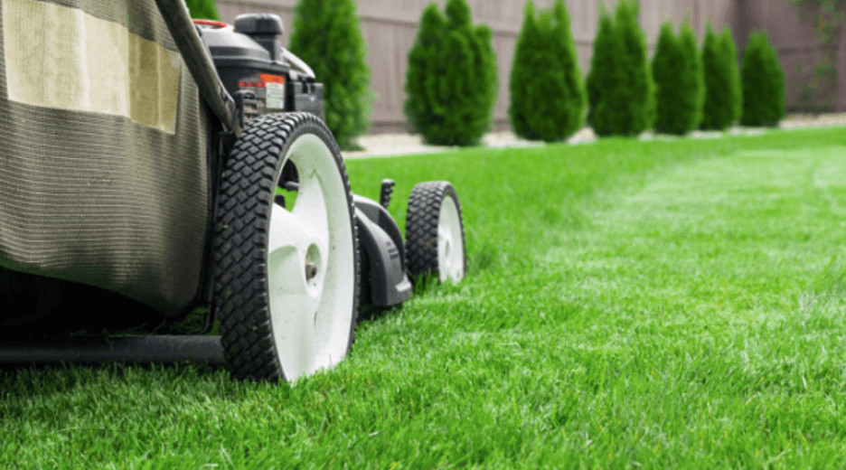 10 EASY WAYS TO IMPROVE YOUR LAWN