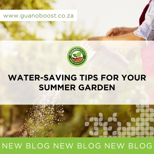 Water-Saving Tips for Your Summer Garden