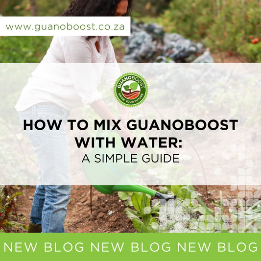 How to Mix GuanoBoost with Water: A Simple Guide