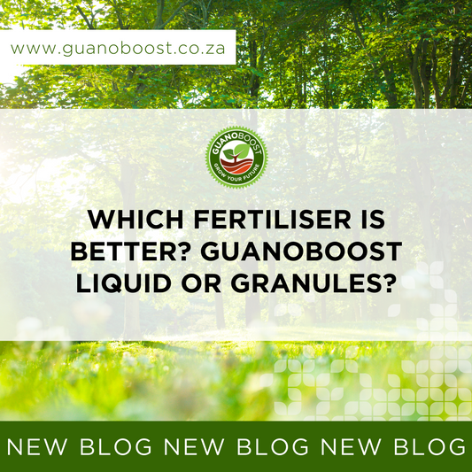 Which Fertiliser is Better? GuanoBoost Liquid or Granules?