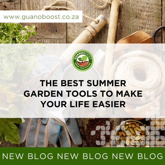 The Best Summer Garden Tools to Make Your Life Easier