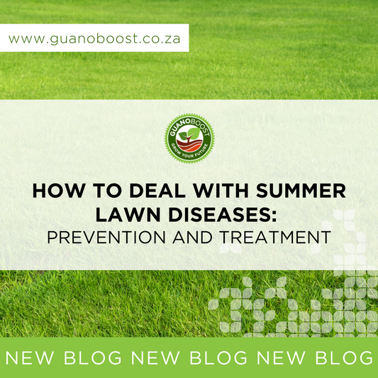 How to Deal with Summer Lawn Diseases: Prevention and Treatment