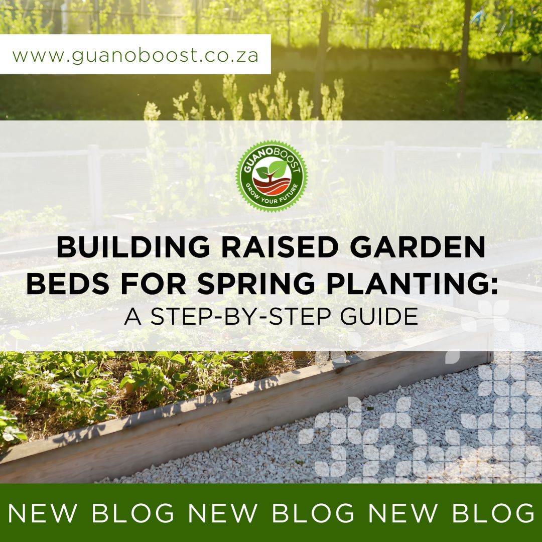 Building Raised Garden Beds for Spring Planting:  A Step-by-Step Guide