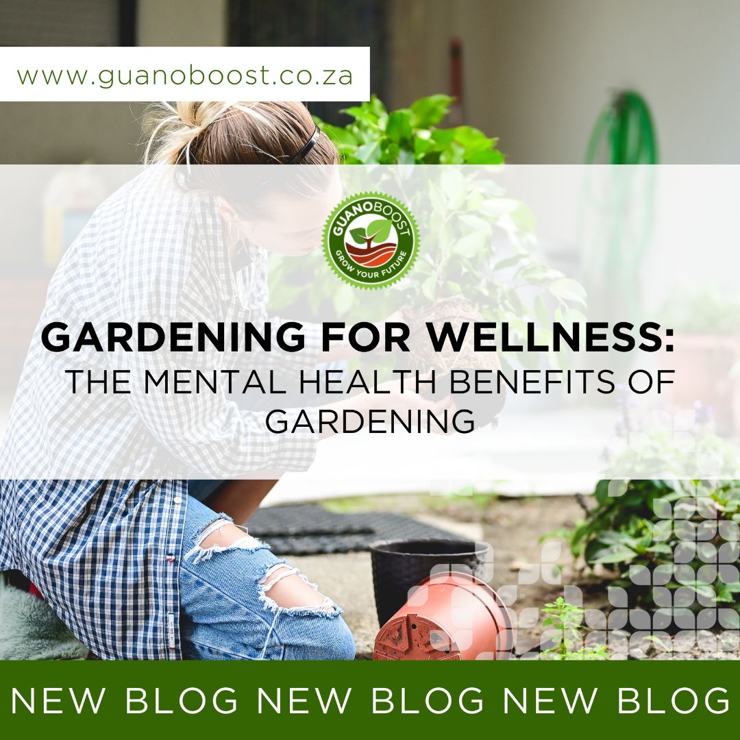 Gardening for Wellness: The Mental Health Benefits of Gardening