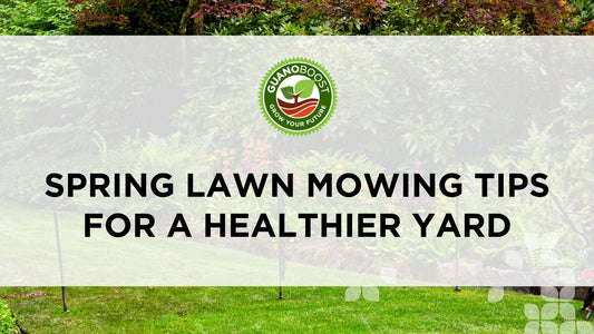 Spring Lawn Mowing Tips for a Healthier Yard