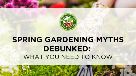 Spring Gardening Myths Debunked: What You Need to Know