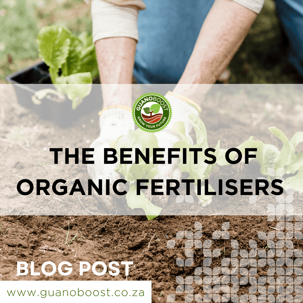 The Benefits of Organic Fertilisers: Safer, Environmentally Friendly,