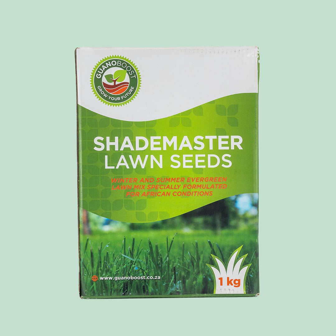 1Kg Shademaster Lawn Seeds